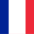 Flag_of_France_(1976–2020).svg